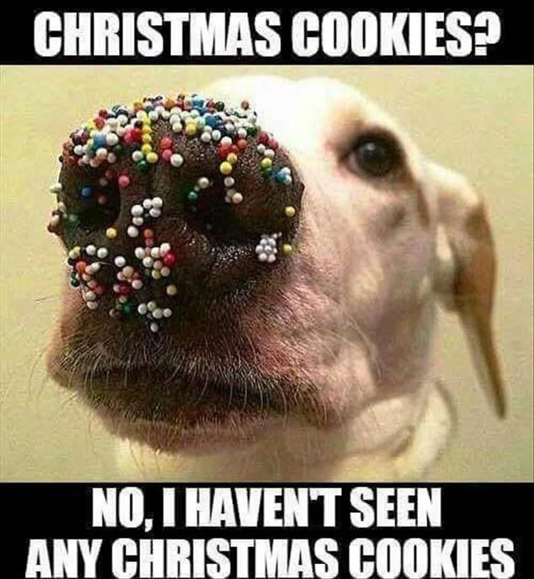 christmas cookies.webp