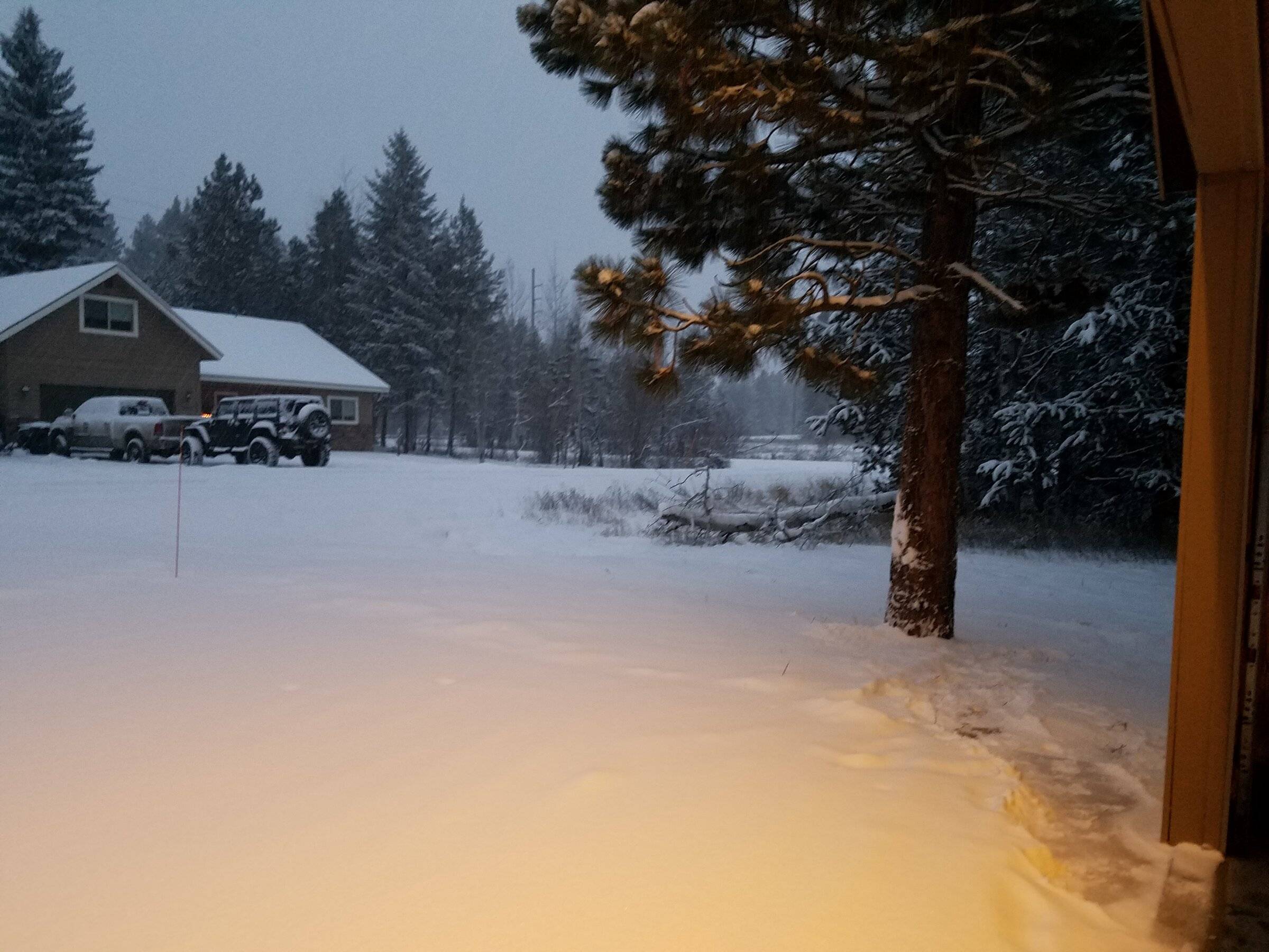 snow 121121.jpg