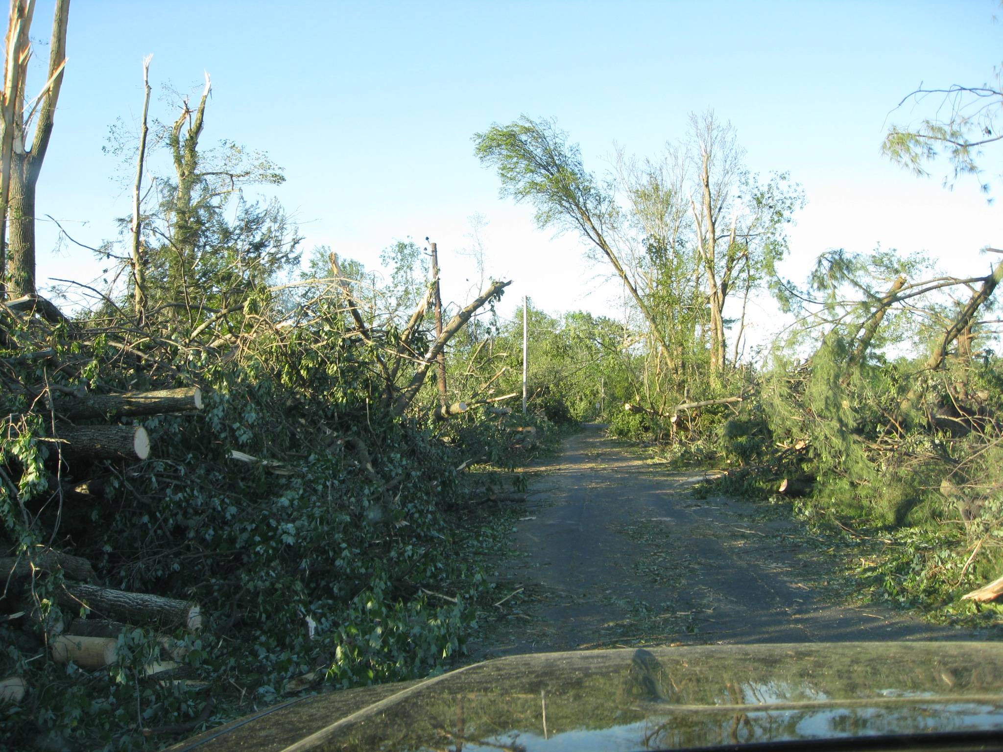 Bebe rd..JPG
