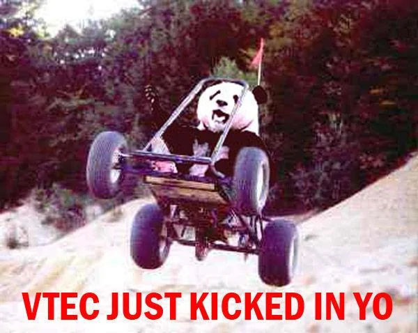 VtecPanda.webp