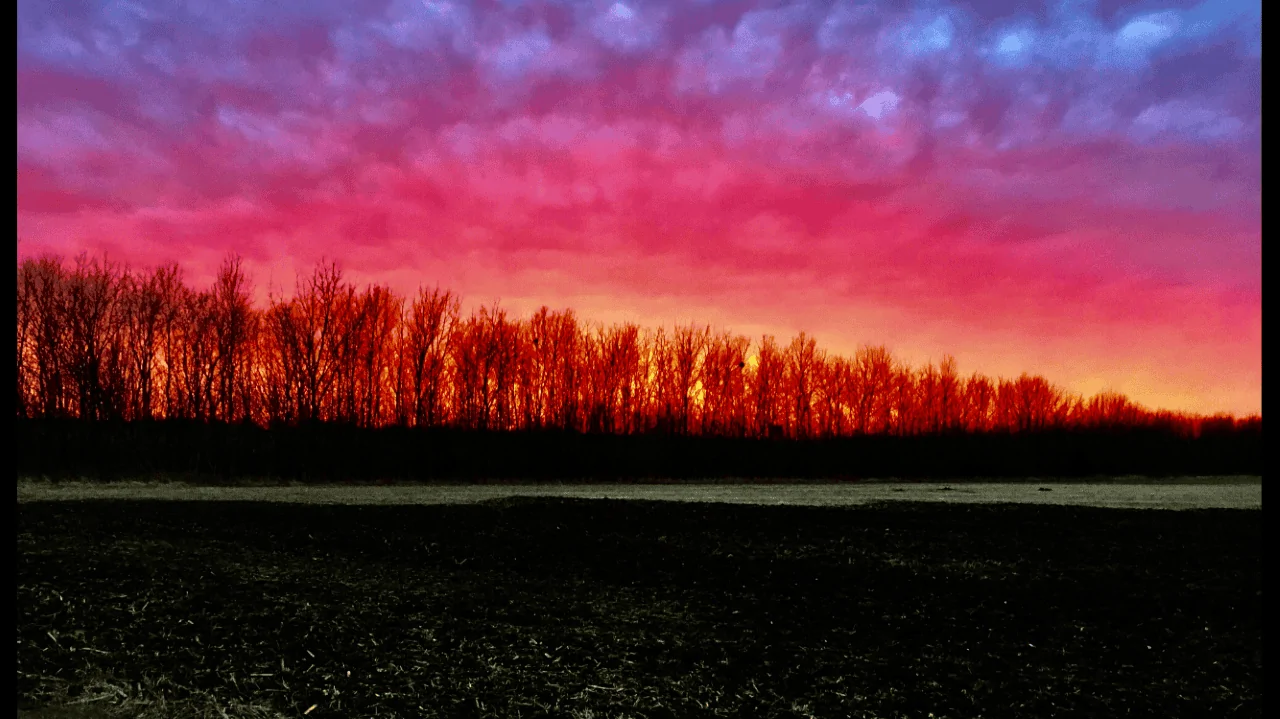 Sunset 2021.webp