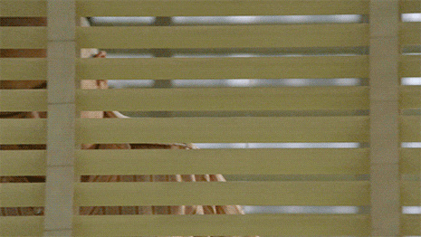WIndow Blinds.gif