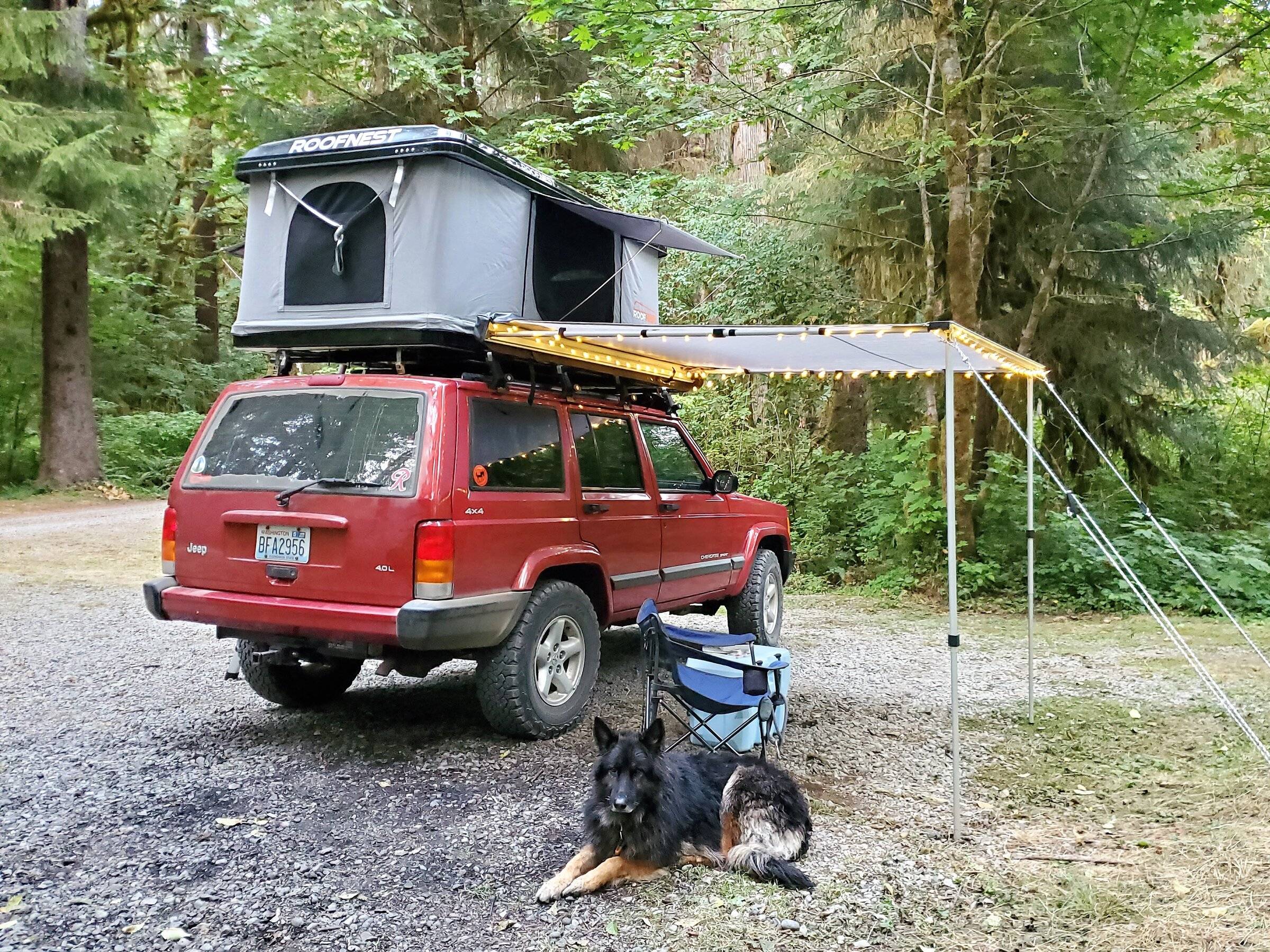 99 Jeep XJ Roofnest.jpg