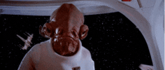471ban9thuq0o9s95d2dr21rhe30zpvql06khuieyx&rid=100.gif