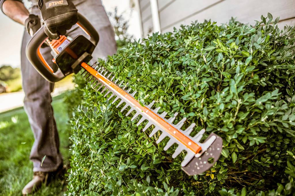 Hedge Trimmers.jpg