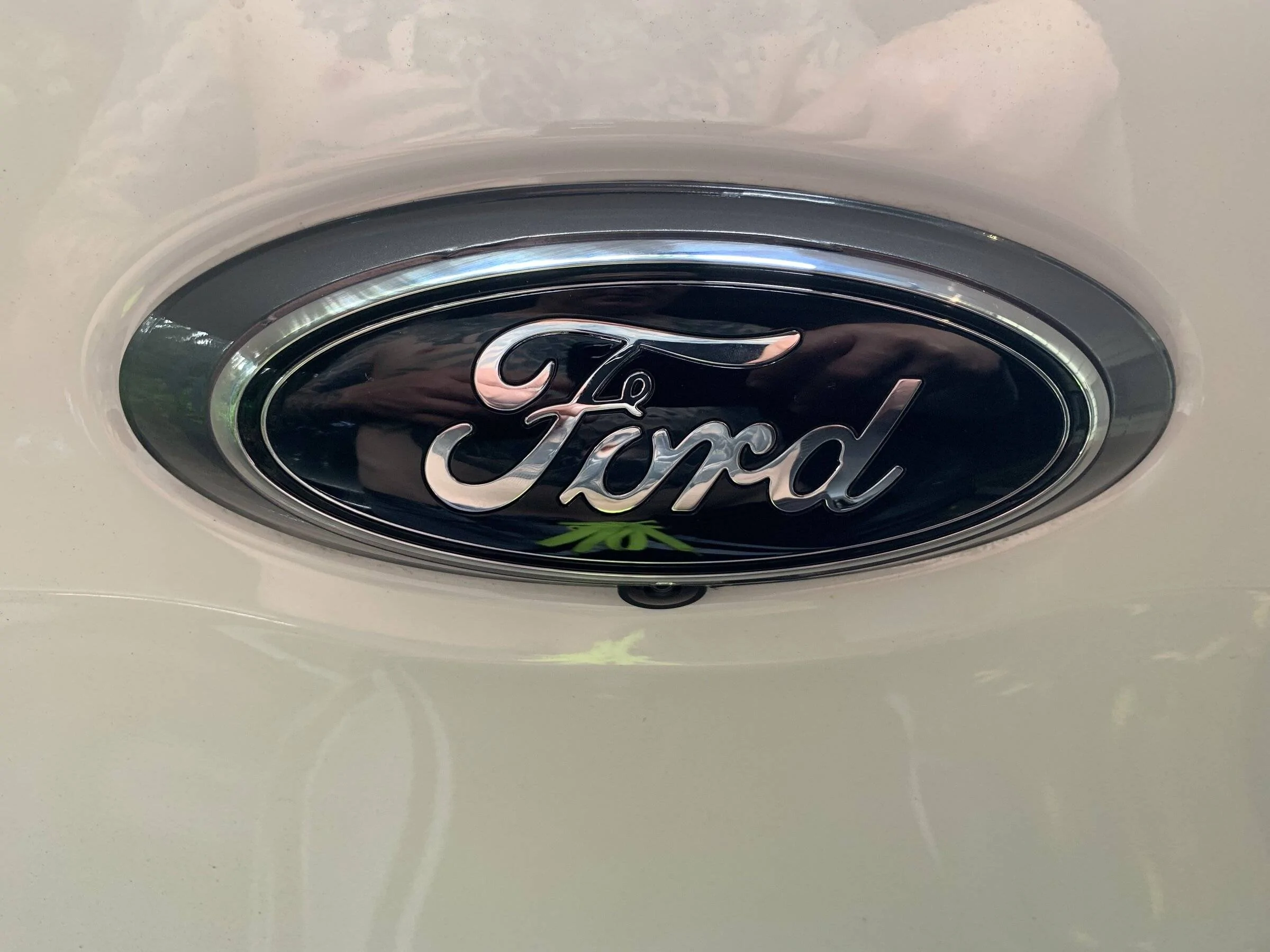 82CB5A39-C551-4298-AA8B-653B88D49C2A.webp