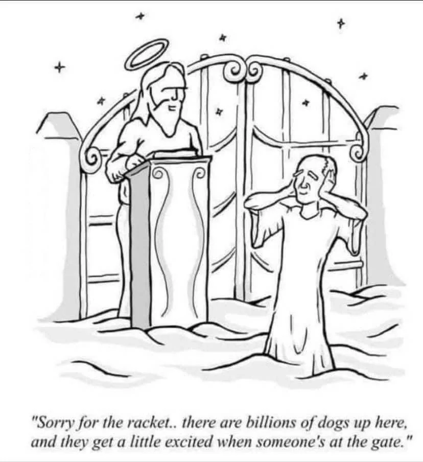 Dogs In Heaven.webp