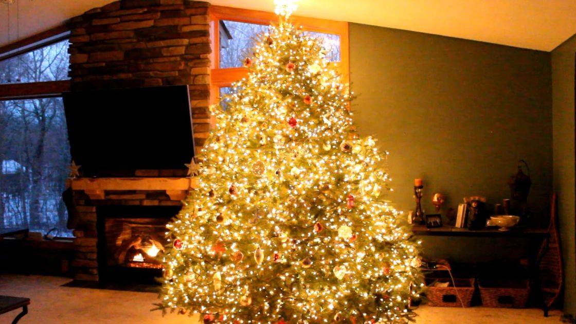 Christmas Tree Lights.jpg