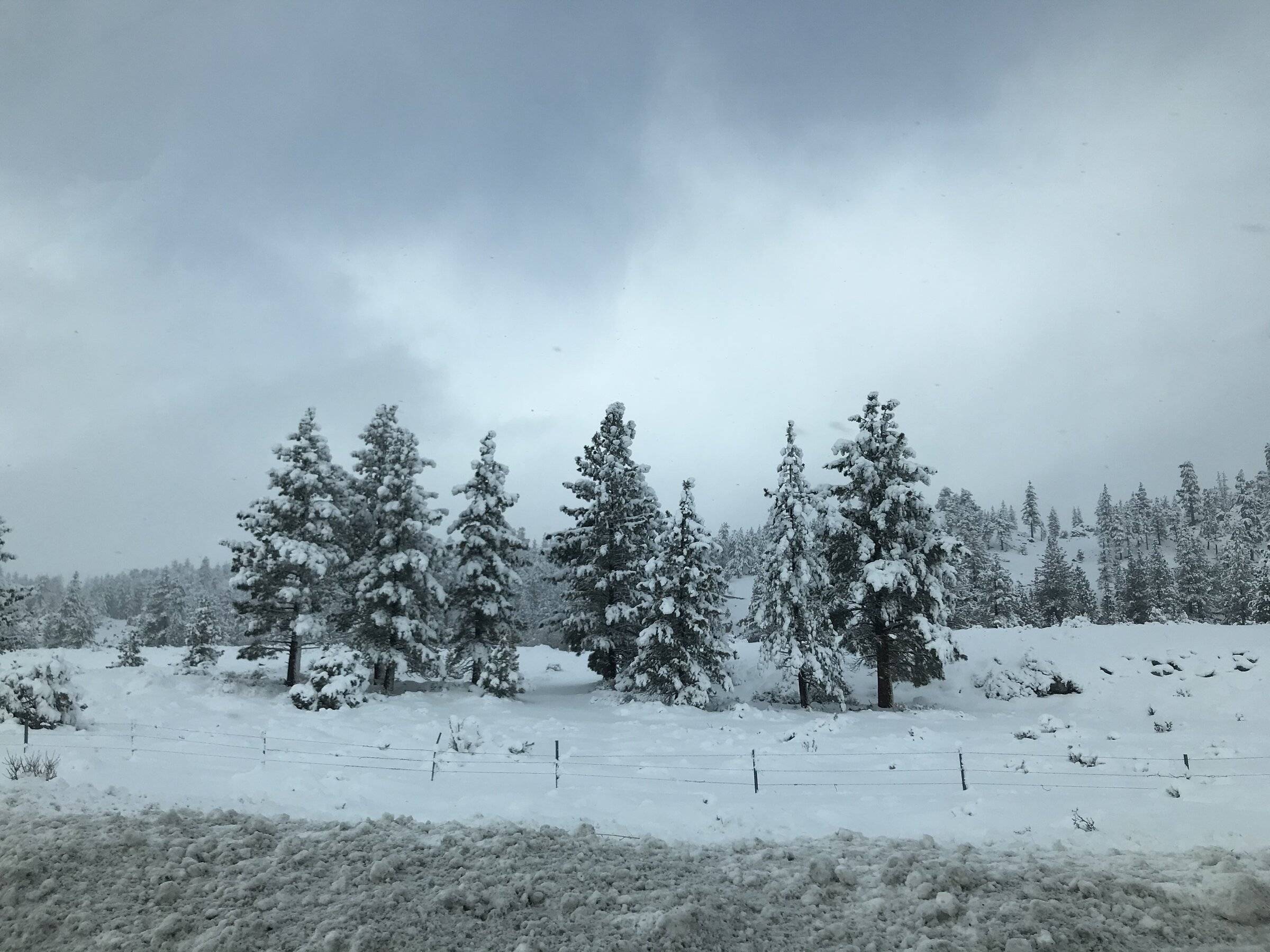 7F36824D-63BA-44D8-9E37-72EC1799035E.jpeg