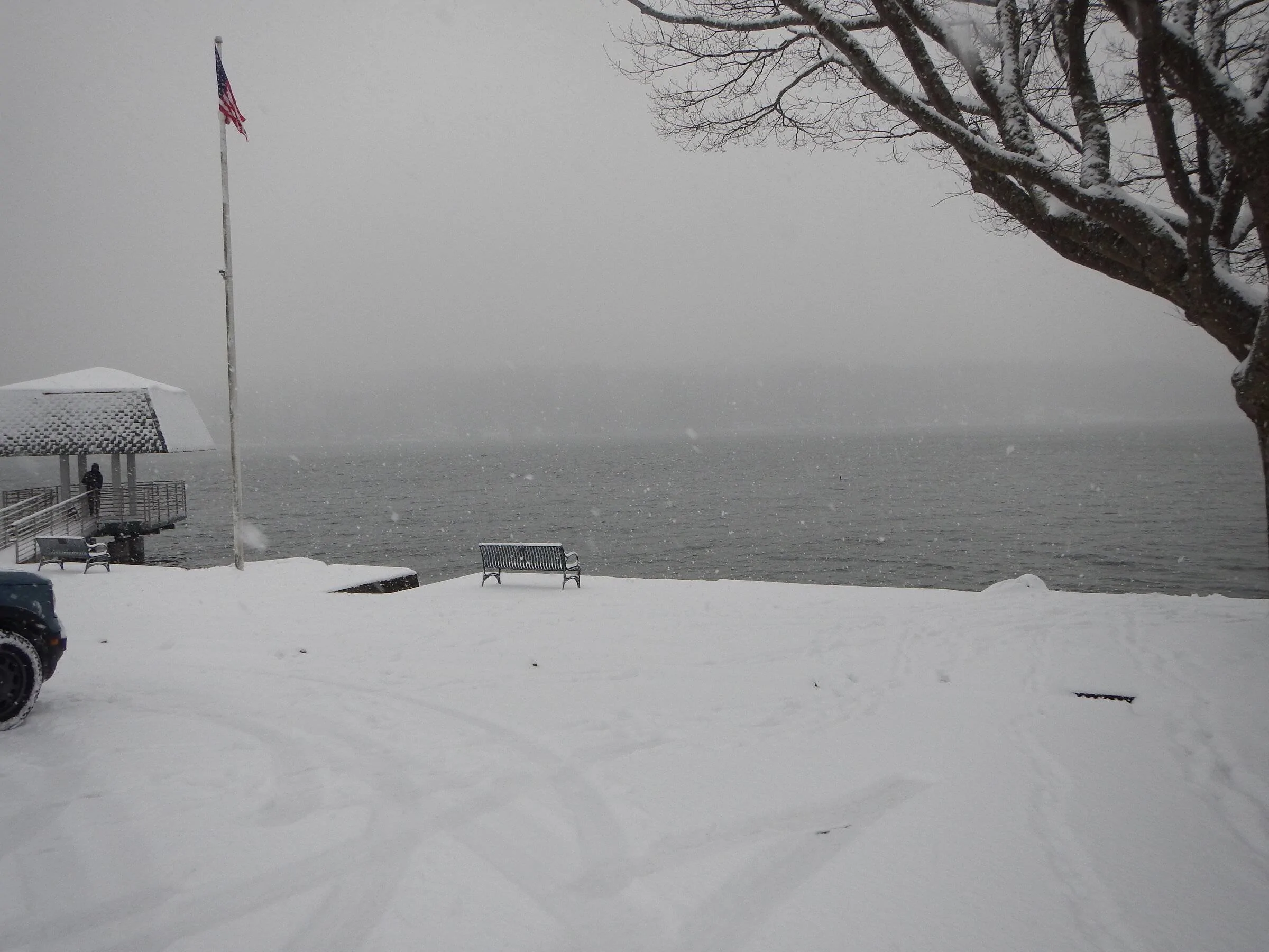 DSCN7125.webp