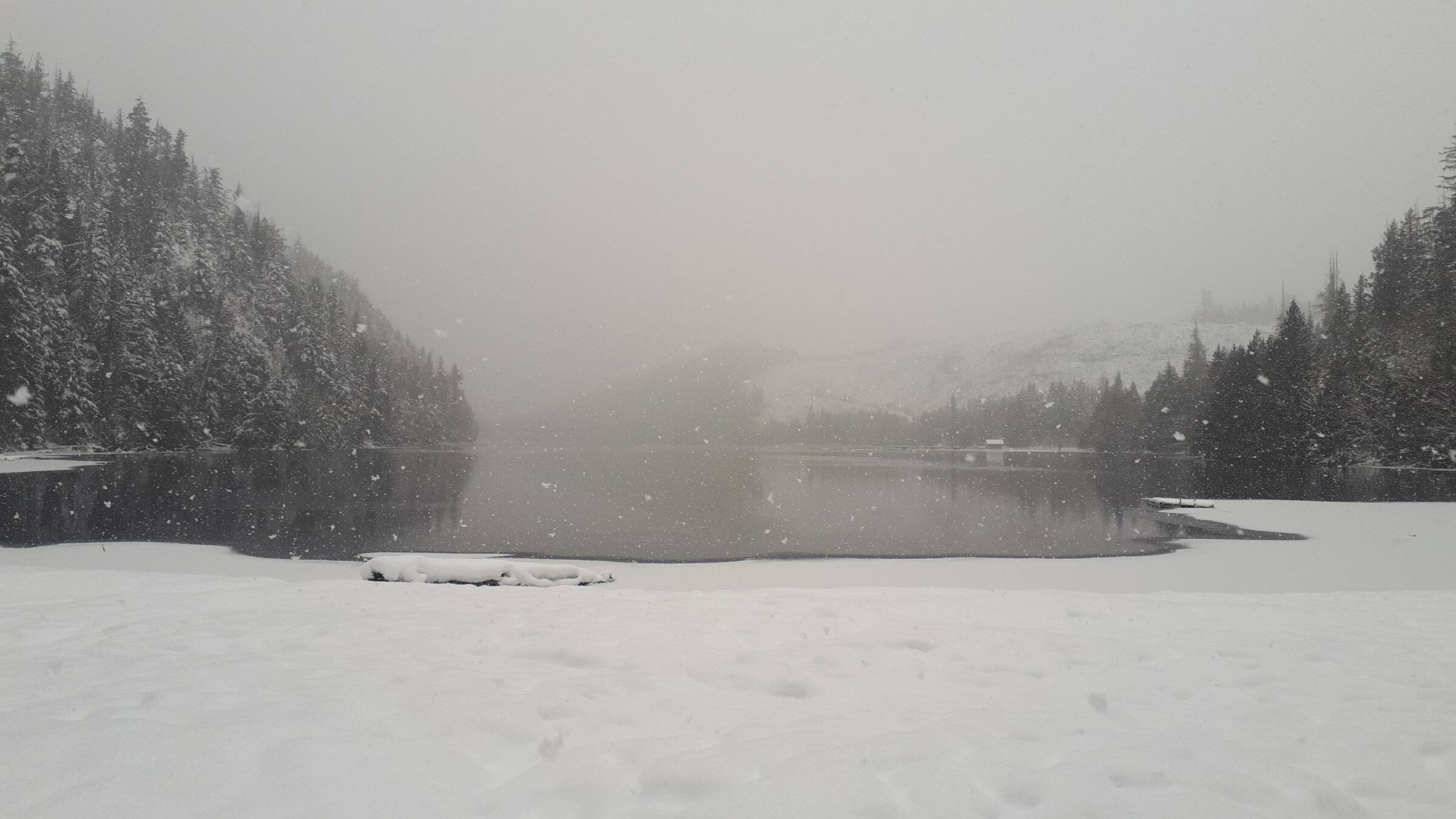 20211227_123932.jpg
