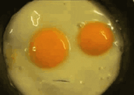 38D50E36-BA1C-4669-9FC4-37F492F75938.gif