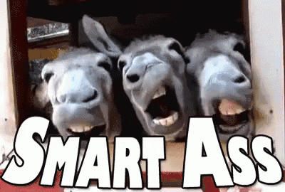 0ff44c9d48a5367122ed127c0c746215.gif