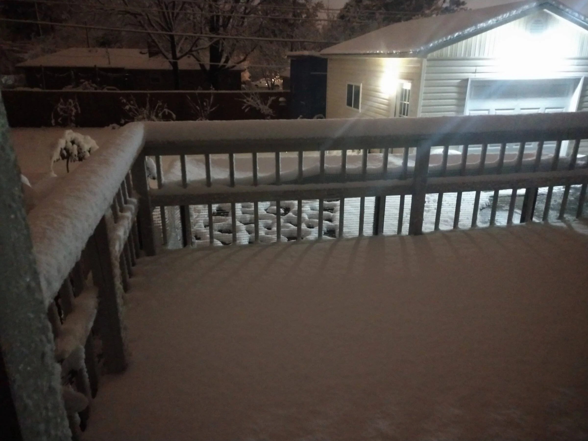 IMG_20220103_052950311.webp