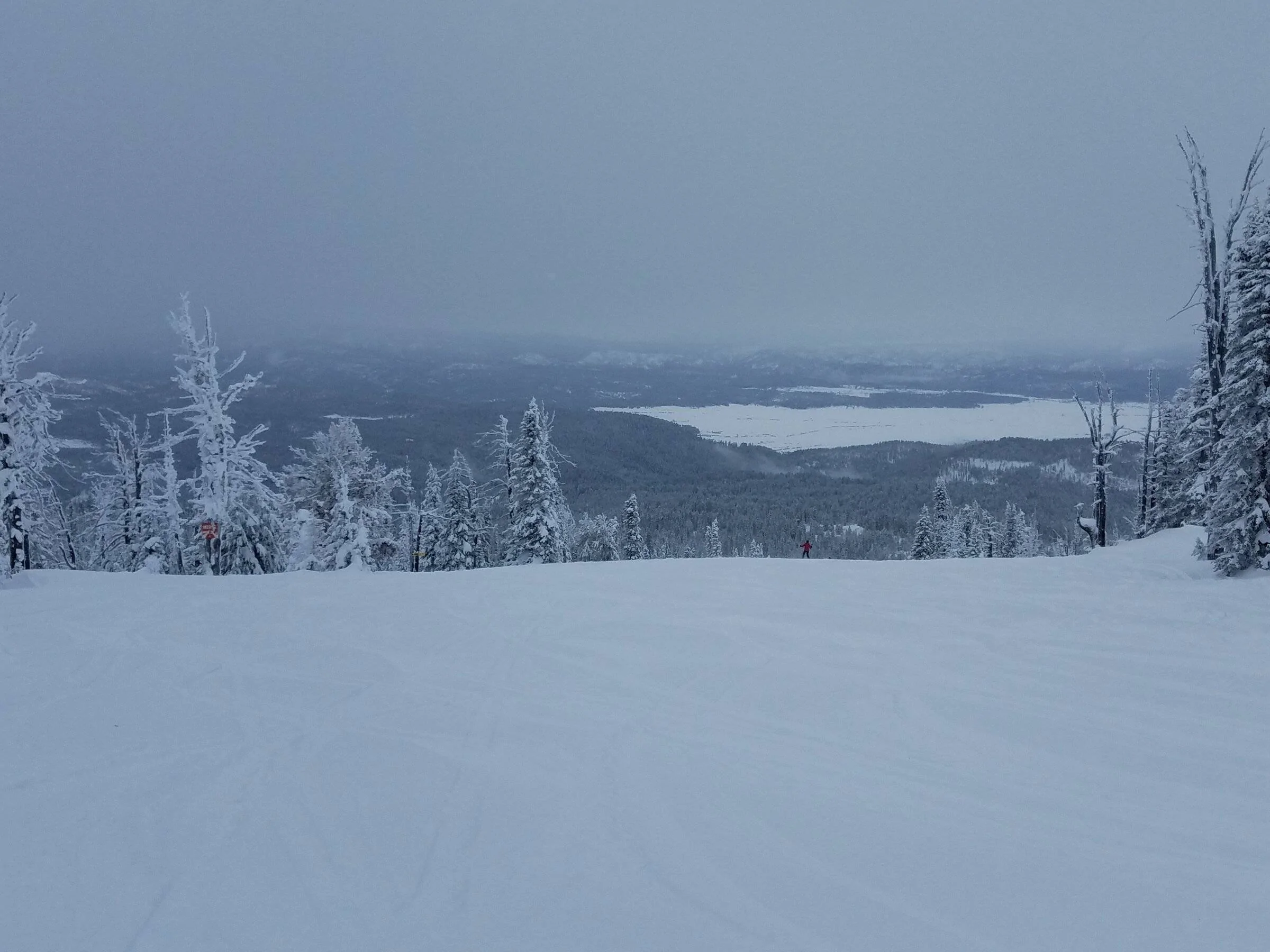 45th 010522.webp