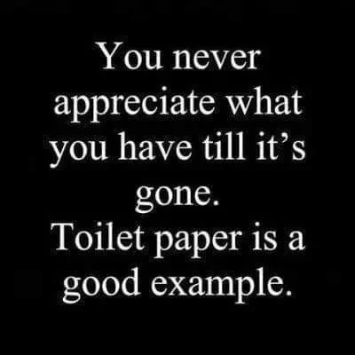 toiletpaper.webp