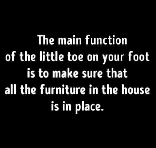 toe.webp