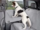Door_Protector_In_Use_With_Dog_SEAT_PROTECTOR2.jpg