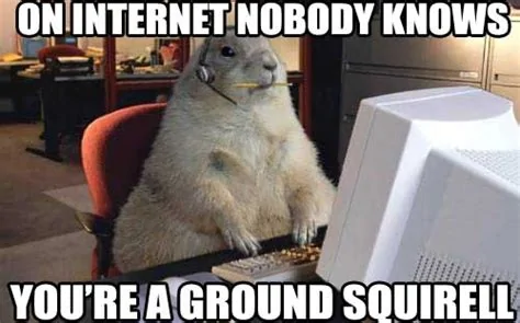 ?u=https%3A%2F%2Ftse4.mm.bing.net%2Fth%3Fid%3DOIP.webp