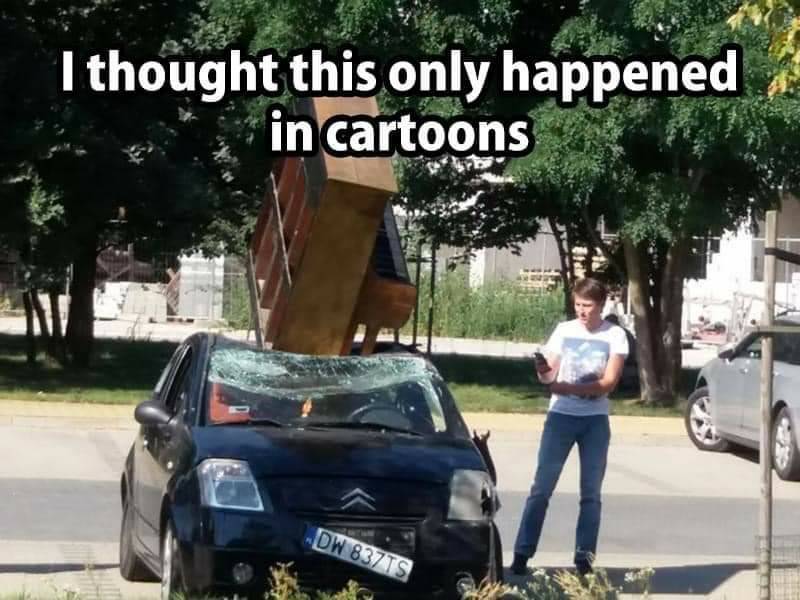 87074291.jpg