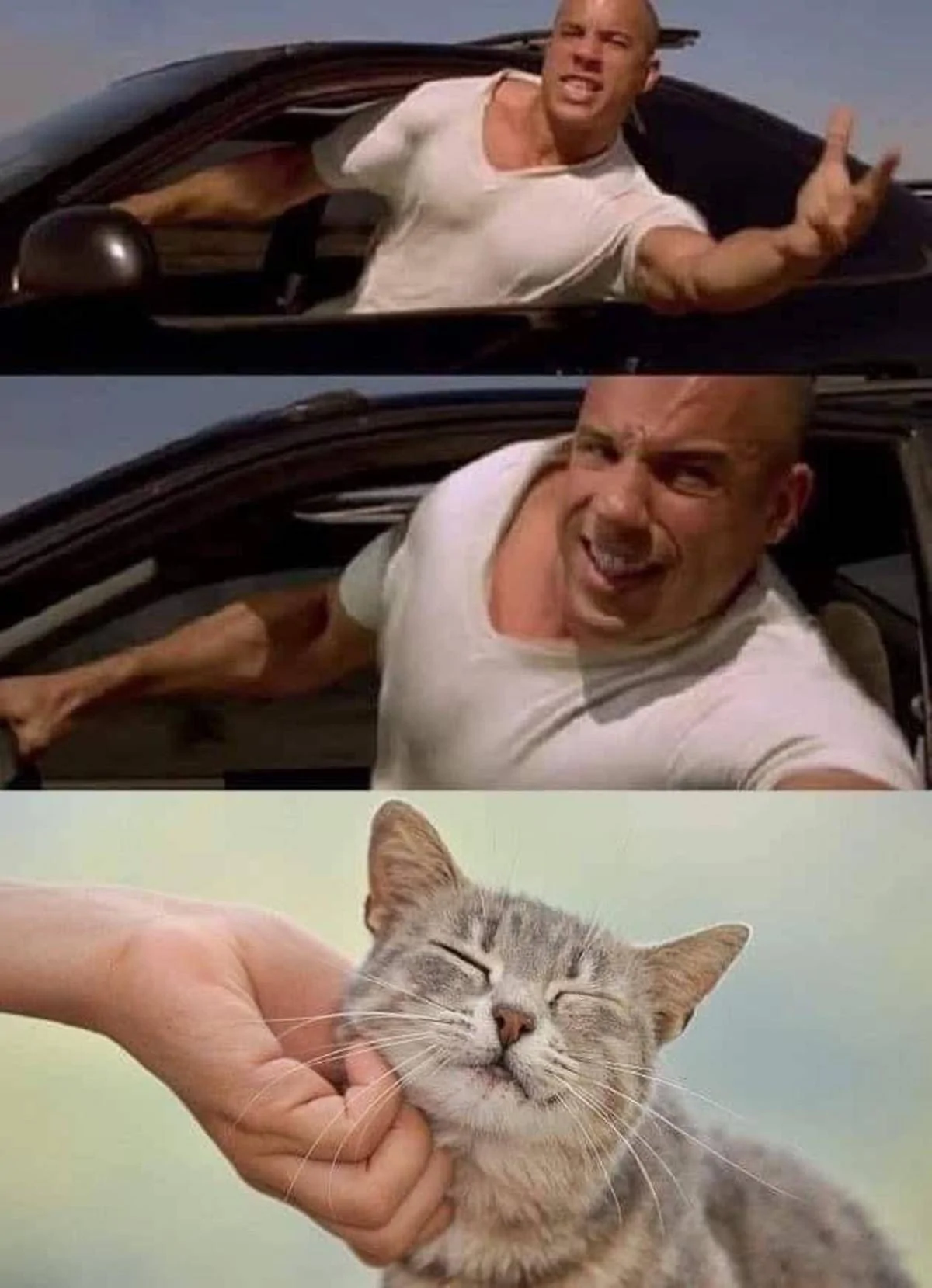 vin-diesel-driving-and-trying-so-hard-to-touch-a-cat-meme-4b54f33e9467f3391ff37fdec54ce7b4.webp