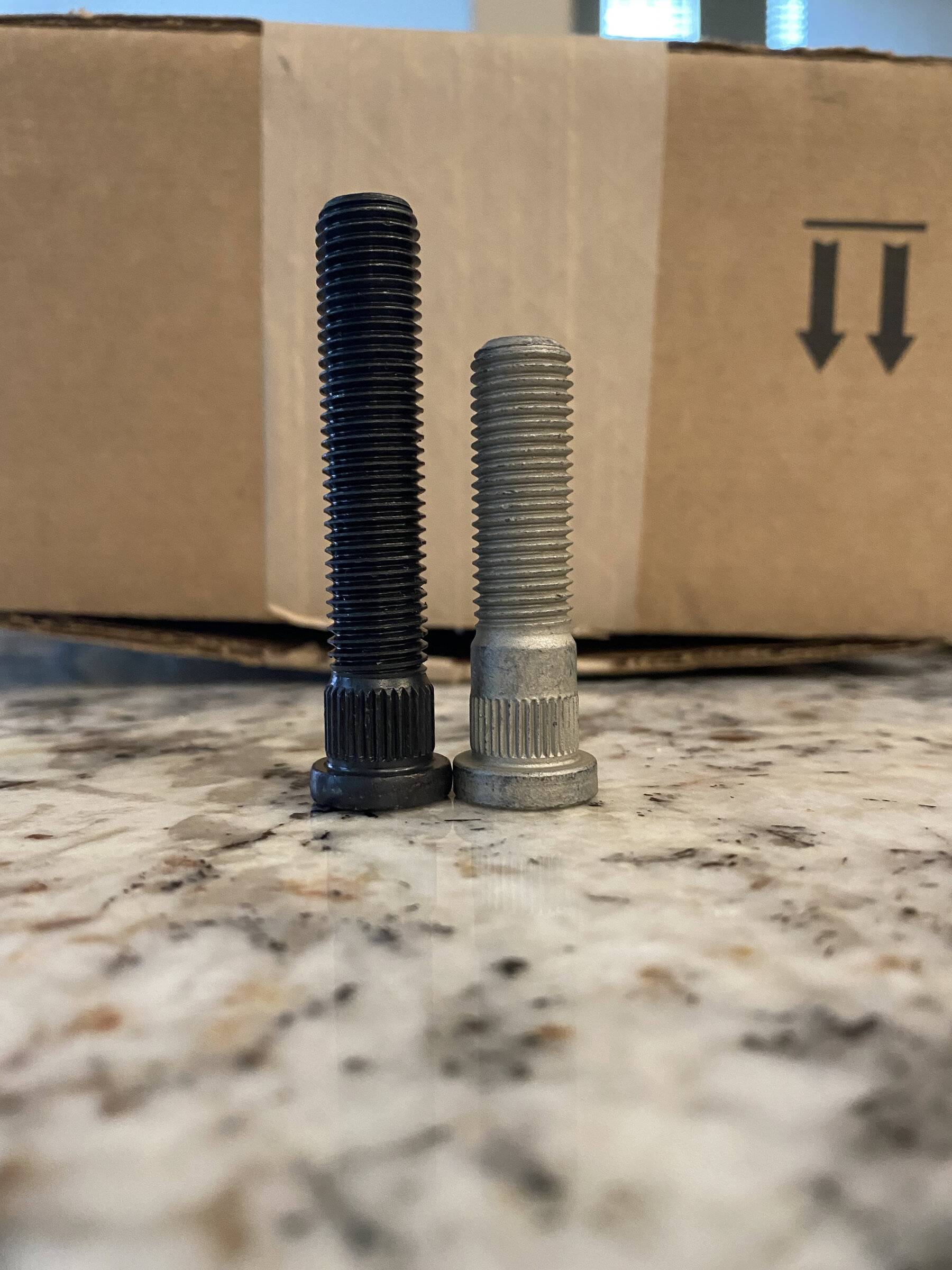 studs2.jpg