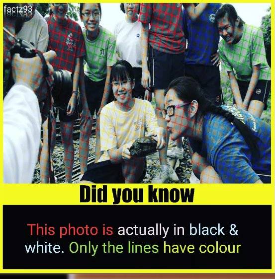 Color.jpg