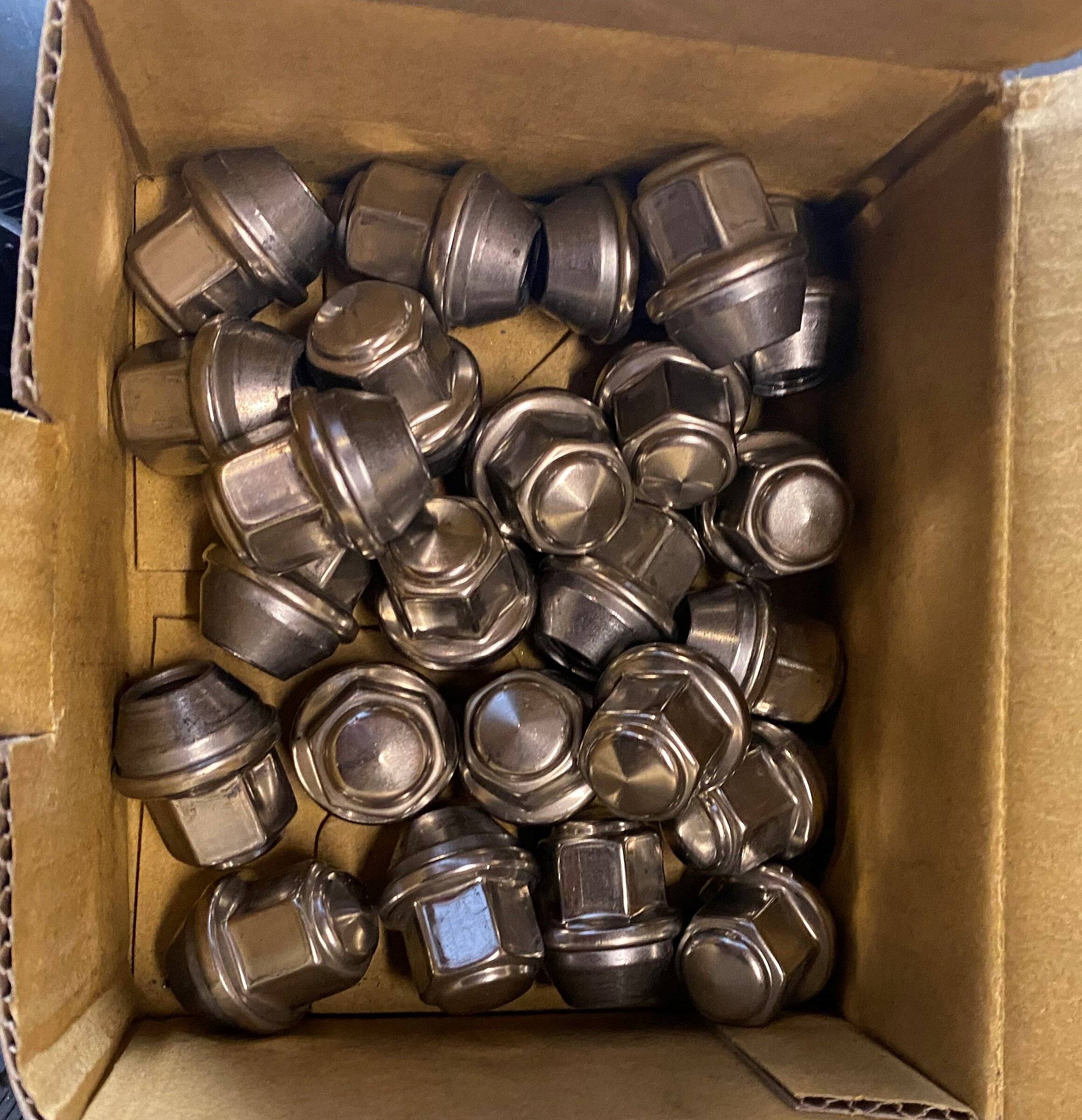 Lugs.jpg