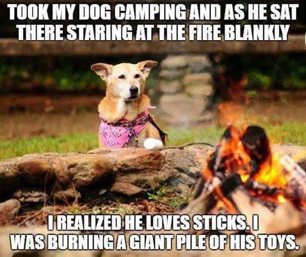 CampingFails_DogStick.jpg