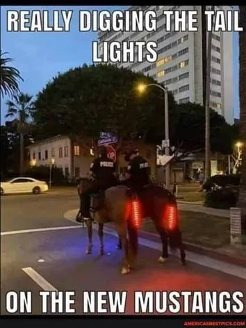 mustangtaillights.webp