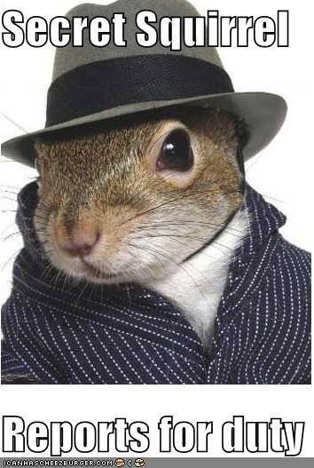 Secret Squirrel.jpg