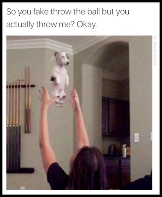 Fake Throw A Ball.webp