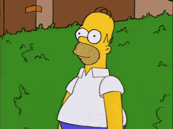no_words_homer_into_brush.gif