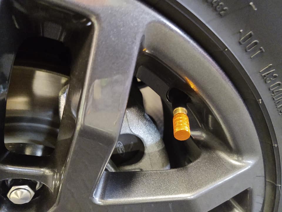 TPcaps.jpg