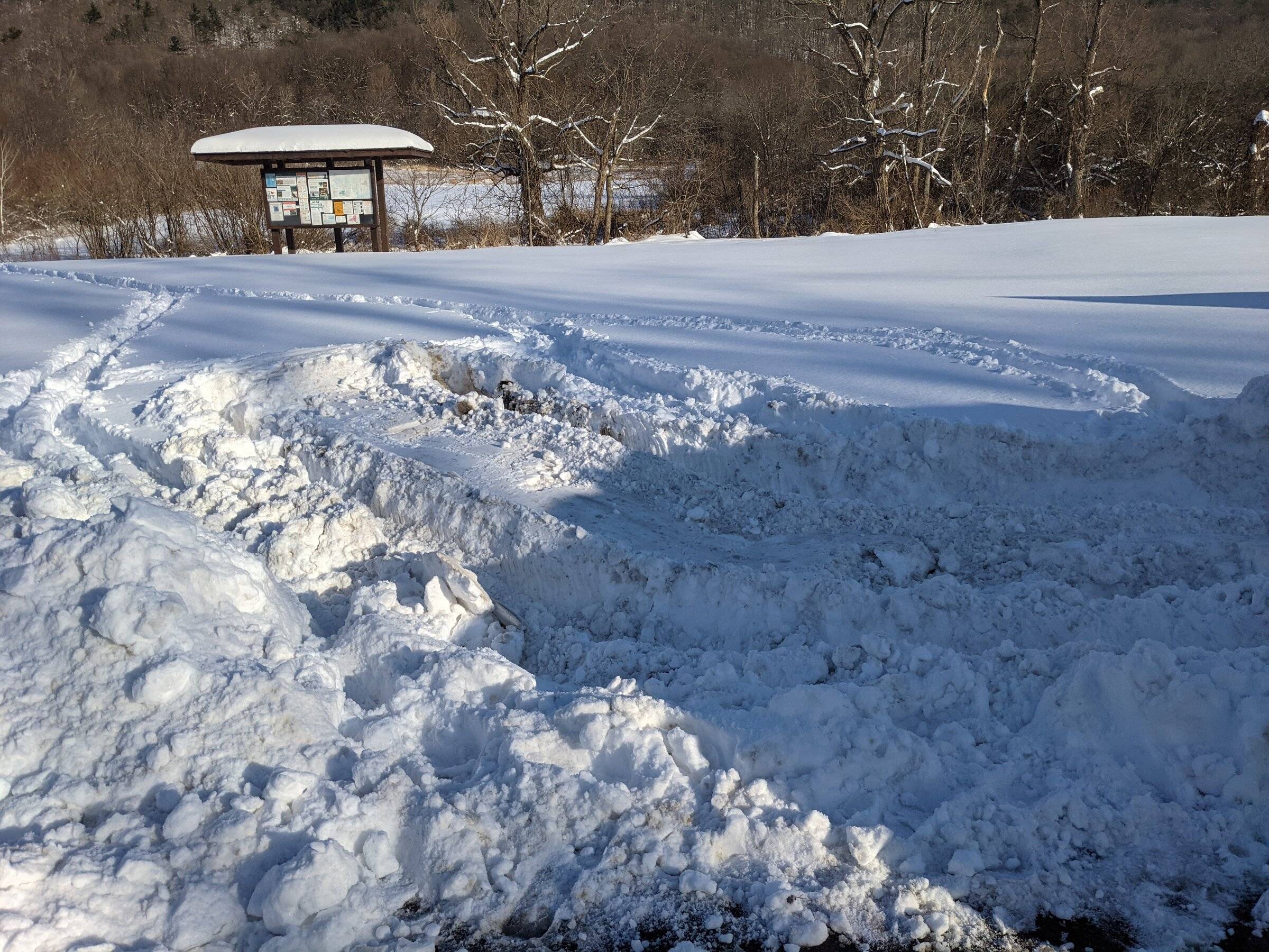 PXL_20220118_195820092.jpg