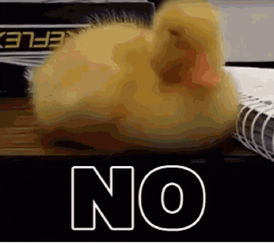 No Ducks!.gif