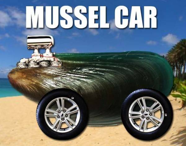 mussel car.jpg
