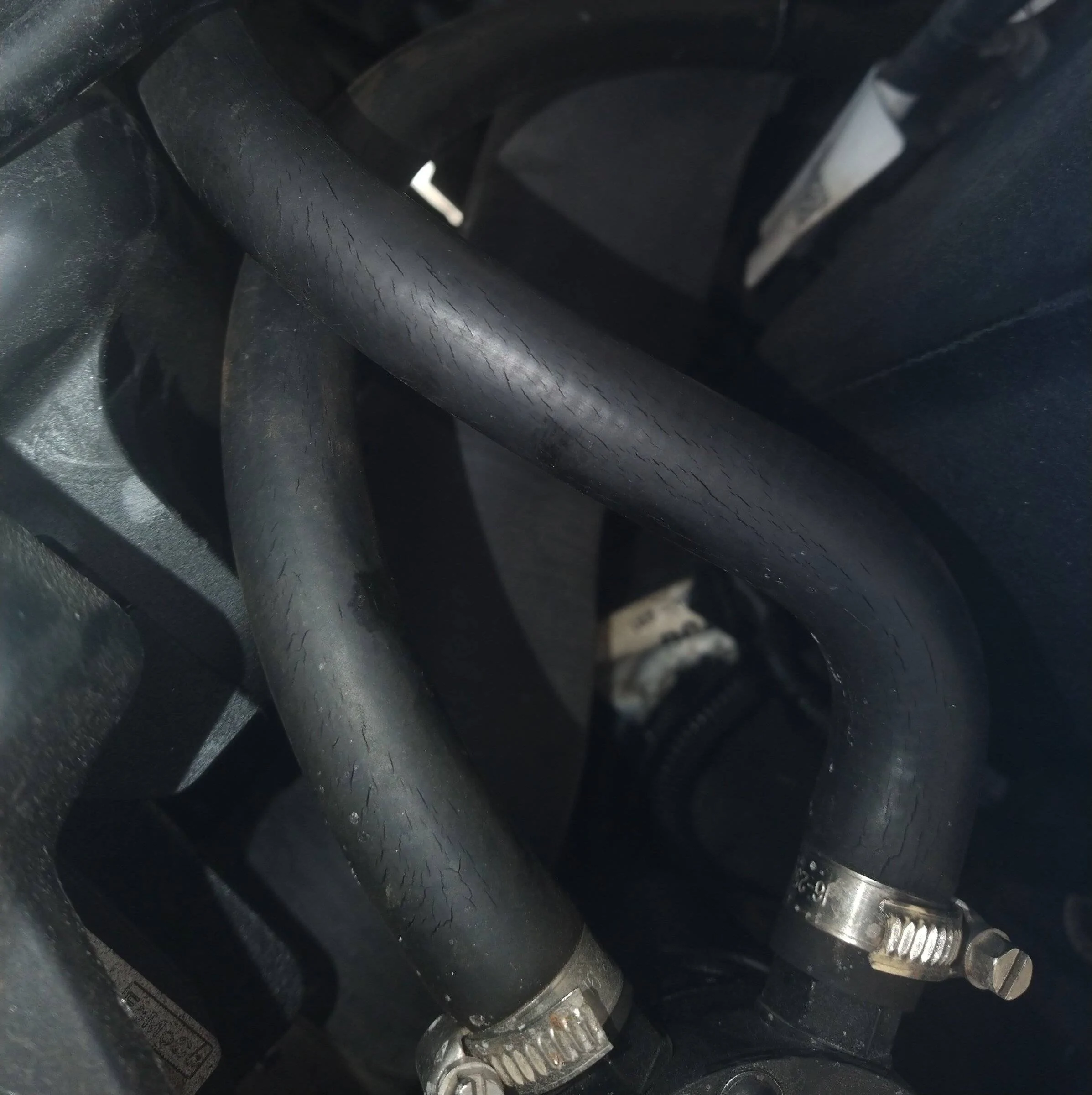 CC Hoses.webp