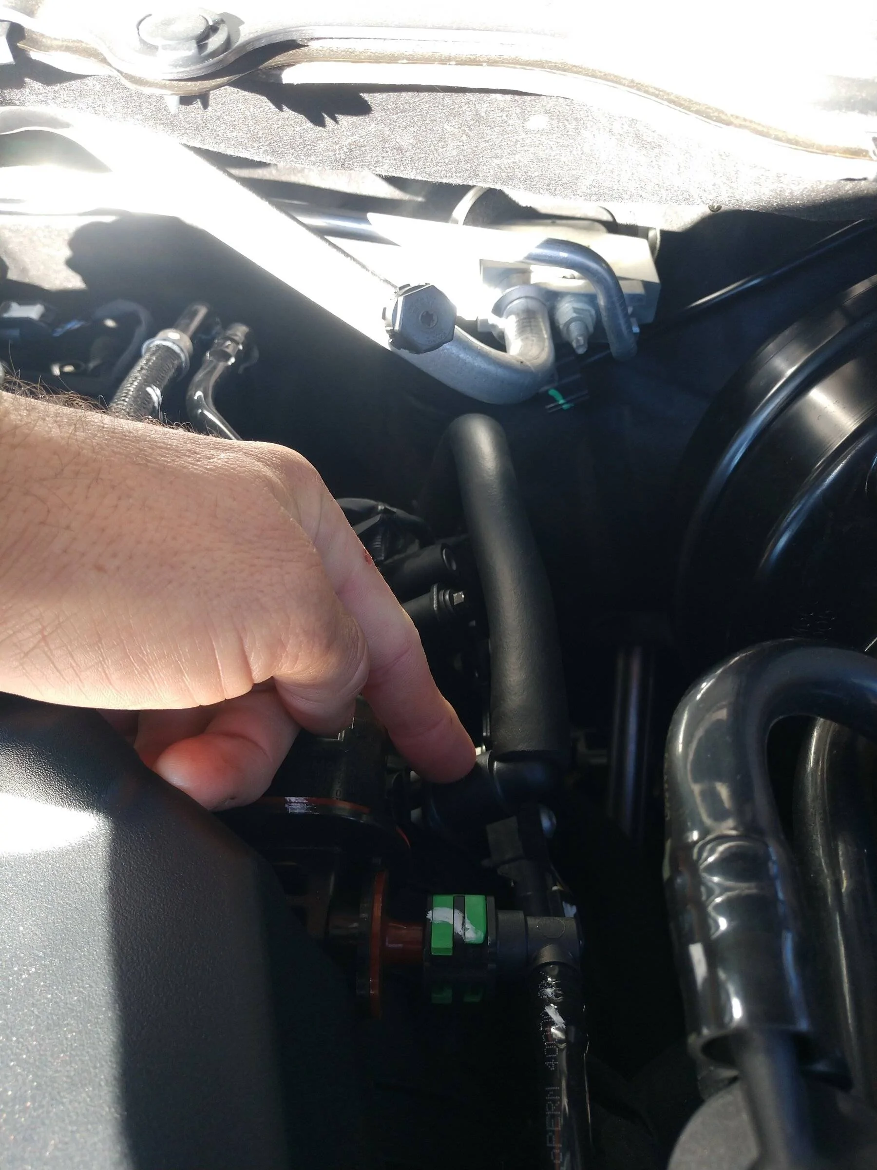 IMG_20220126_144728296.webp