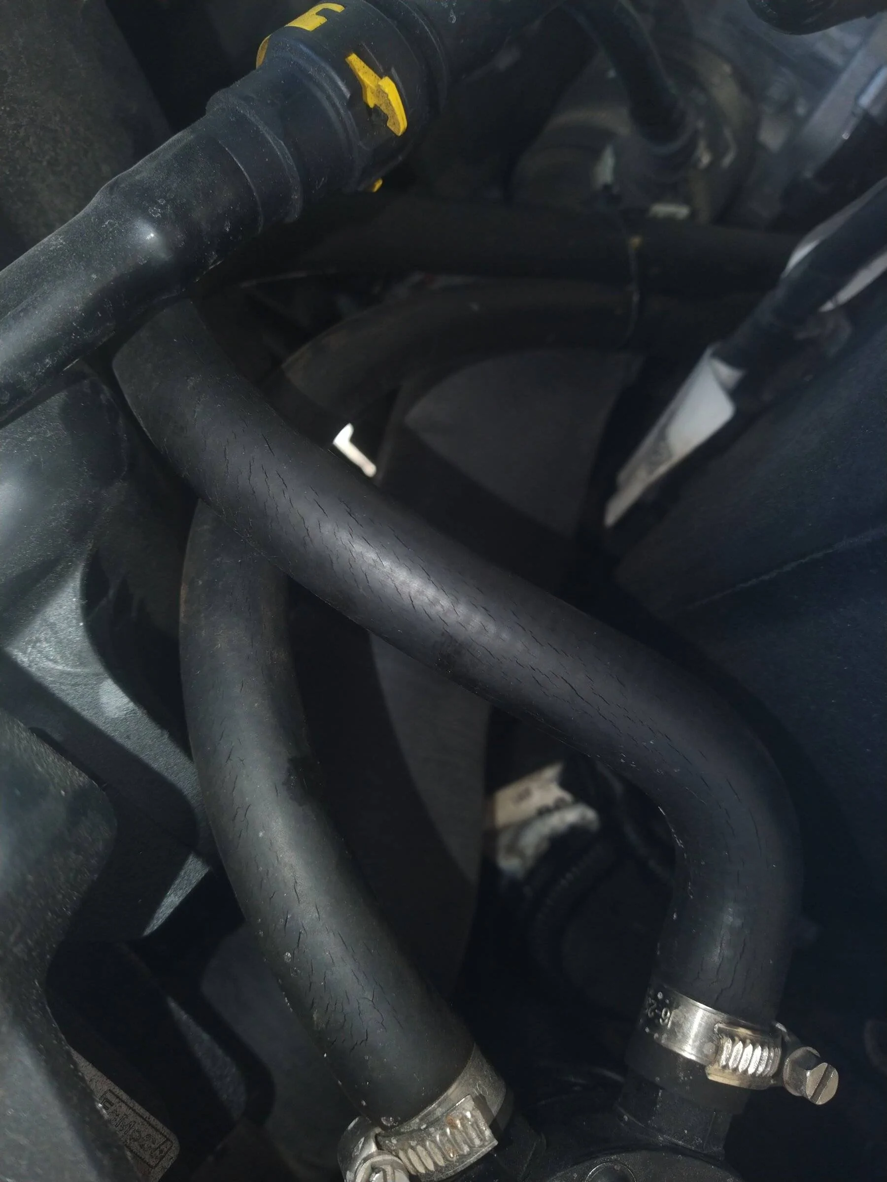 IMG_20220114_130143.webp