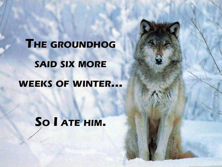 FB_20150201_20_32_41_Saved_Picture.jpg