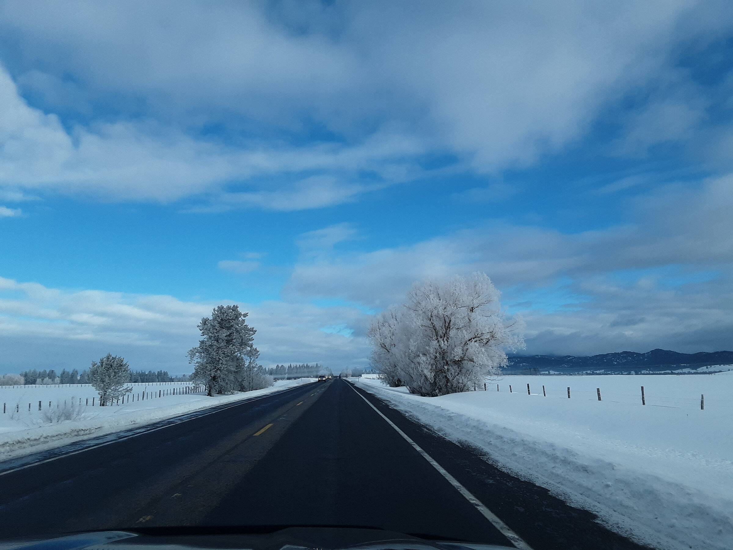 Hwy 55.jpg