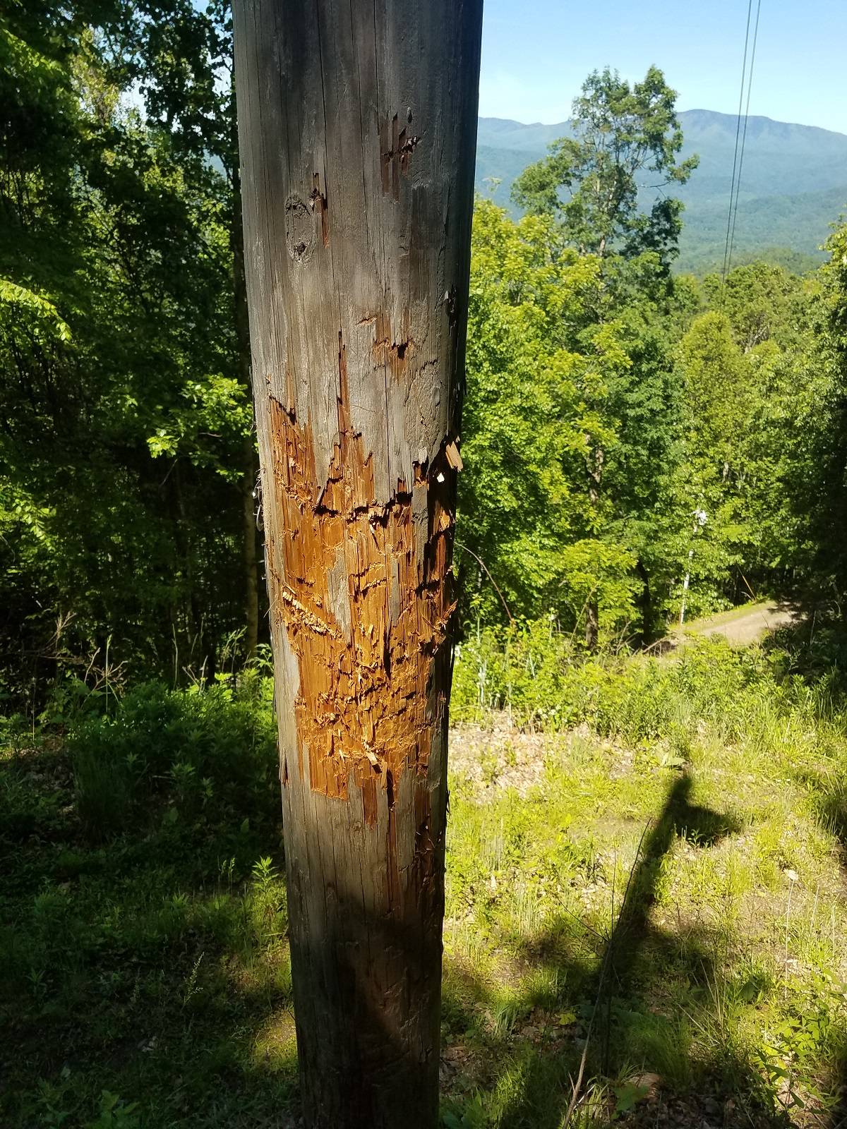 20170526_114417.jpg
