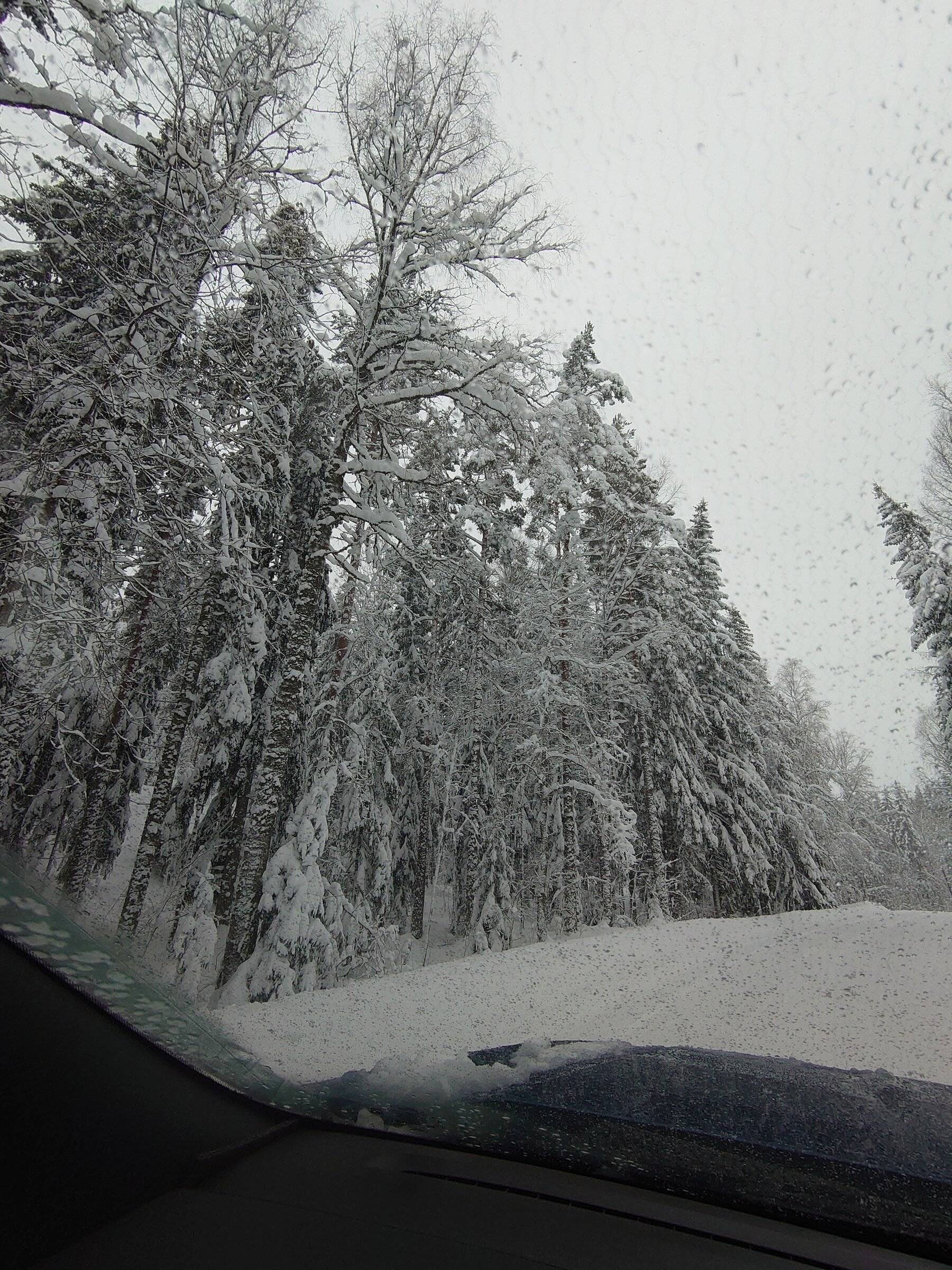 DSC_0689.JPG