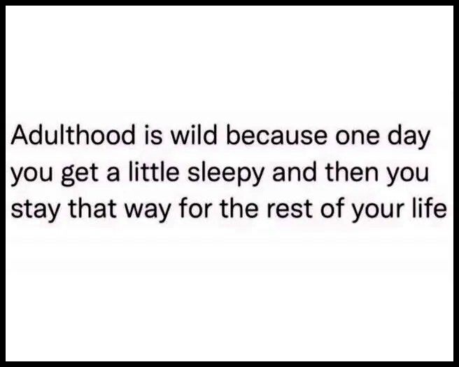 Adulthood.webp