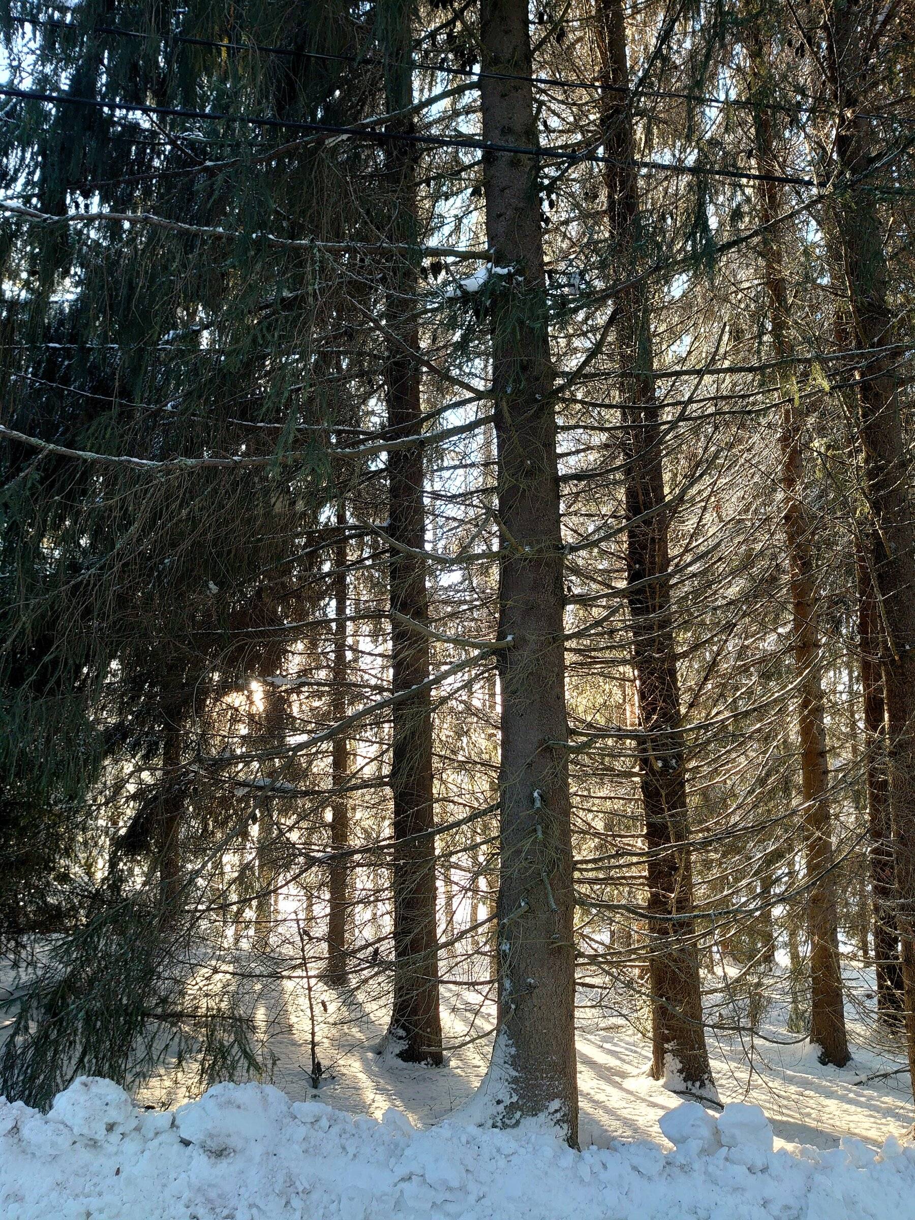 DSC_0694.JPG