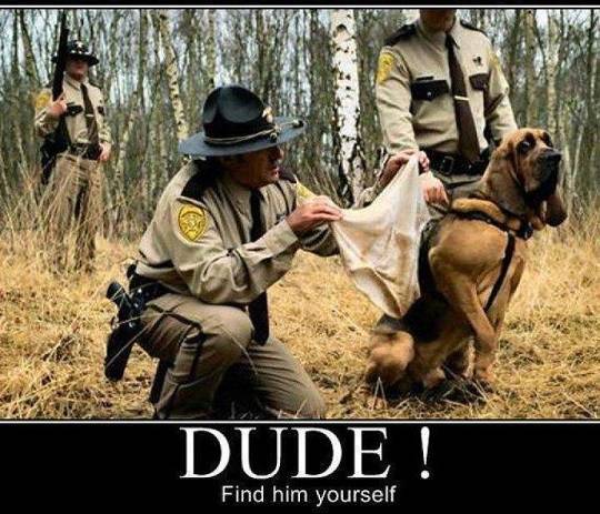 gog sniffer (1).jpg