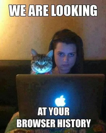 Funny-Memes---your-browser-history.webp