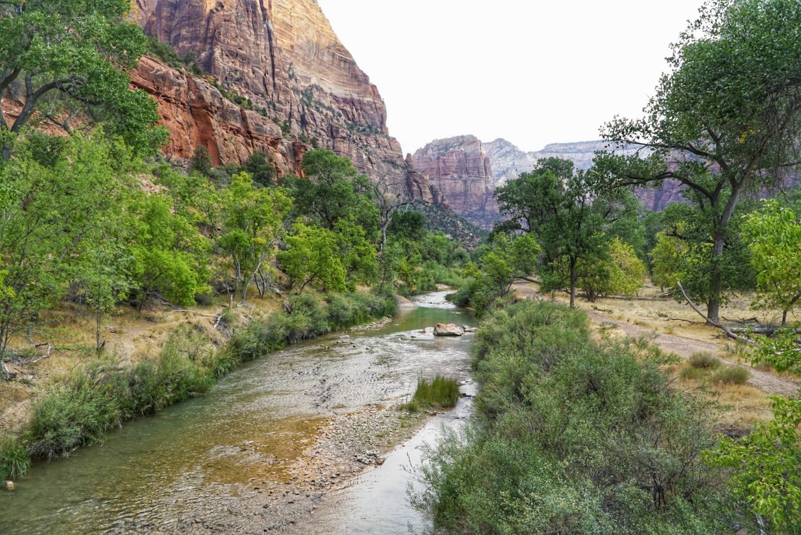 1F9A0754-360B-4F17-9A2E-CC4C4BC0DF85.jpeg