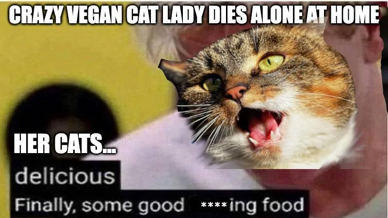 Vegan Cat Lady.webp